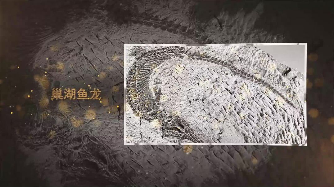 巢湖龙动物群 上集
