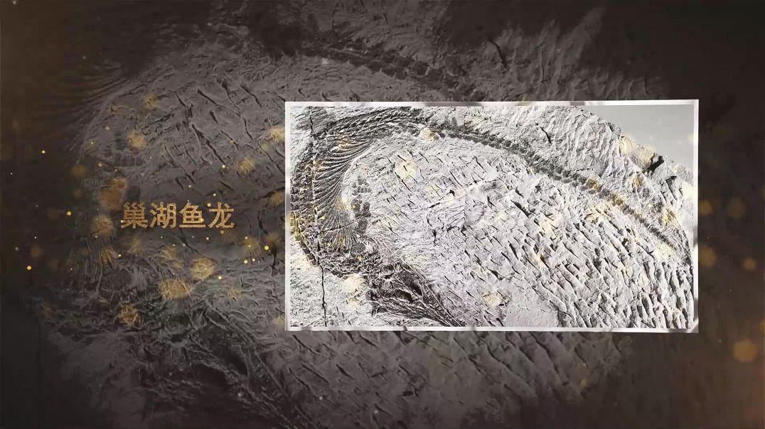 巢湖龙动物群 下集